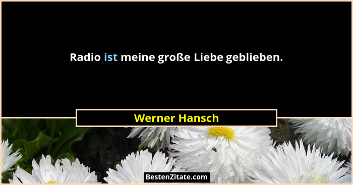 Radio ist meine große Liebe geblieben.... - Werner Hansch