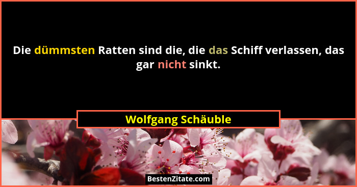 Die dümmsten Ratten sind die, die das Schiff verlassen, das gar nicht sinkt.... - Wolfgang Schäuble