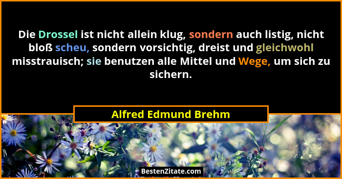 Die Drossel ist nicht allein klug, sondern auch listig, nicht bloß scheu, sondern vorsichtig, dreist und gleichwohl misstrauisch... - Alfred Edmund Brehm