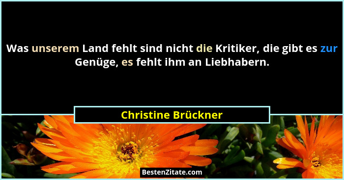 Was unserem Land fehlt sind nicht die Kritiker, die gibt es zur Genüge, es fehlt ihm an Liebhabern.... - Christine Brückner