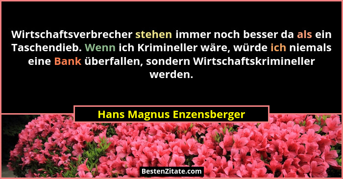 Wirtschaftsverbrecher stehen immer noch besser da als ein Taschendieb. Wenn ich Krimineller wäre, würde ich niemals eine Ba... - Hans Magnus Enzensberger
