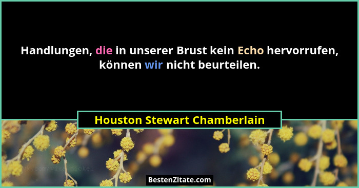 Handlungen, die in unserer Brust kein Echo hervorrufen, können wir nicht beurteilen.... - Houston Stewart Chamberlain