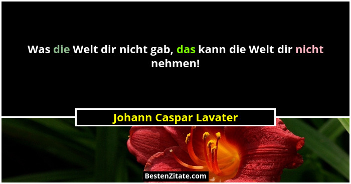 Was die Welt dir nicht gab, das kann die Welt dir nicht nehmen!... - Johann Caspar Lavater