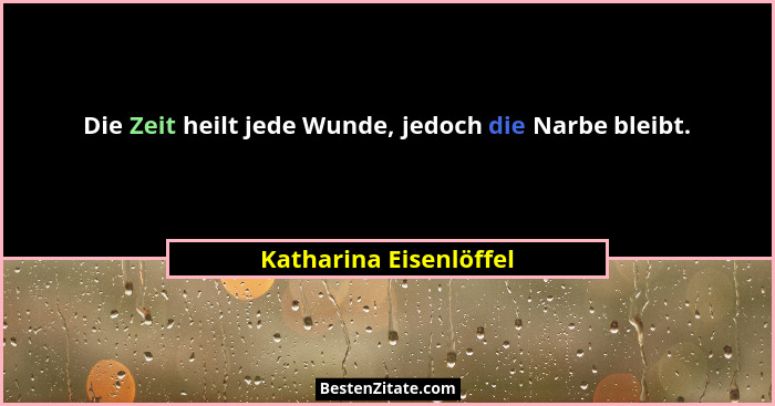 Die Zeit heilt jede Wunde, jedoch die Narbe bleibt.... - Katharina Eisenlöffel