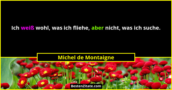 Ich weiß wohl, was ich fliehe, aber nicht, was ich suche.... - Michel de Montaigne