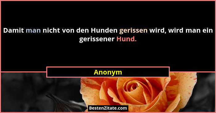 Damit man nicht von den Hunden gerissen wird, wird man ein gerissener Hund.... - Anonym