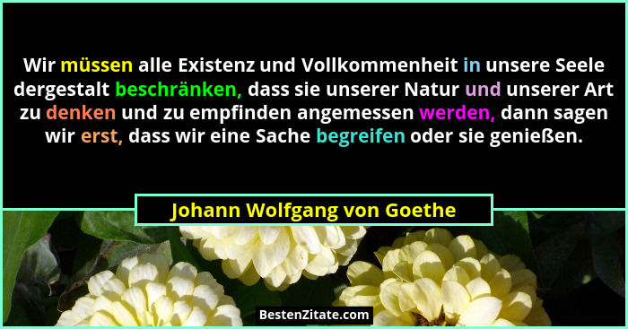 Wir müssen alle Existenz und Vollkommenheit in unsere Seele dergestalt beschränken, dass sie unserer Natur und unserer Ar... - Johann Wolfgang von Goethe