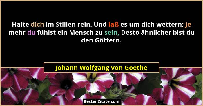Halte dich im Stillen rein, Und laß es um dich wettern; Je mehr du fühlst ein Mensch zu sein, Desto ähnlicher bist du den... - Johann Wolfgang von Goethe