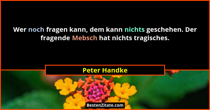 Wer noch fragen kann, dem kann nichts geschehen. Der fragende Mebsch hat nichts tragisches.... - Peter Handke