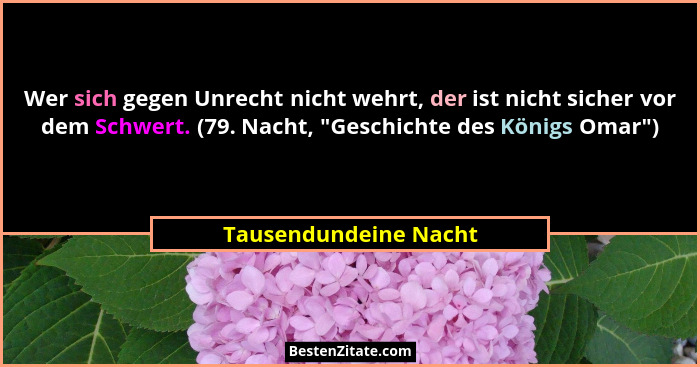 Wer sich gegen Unrecht nicht wehrt, der ist nicht sicher vor dem Schwert. (79. Nacht, "Geschichte des Königs Omar")... - Tausendundeine Nacht
