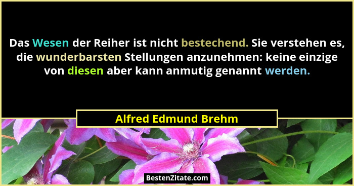 Das Wesen der Reiher ist nicht bestechend. Sie verstehen es, die wunderbarsten Stellungen anzunehmen: keine einzige von diesen a... - Alfred Edmund Brehm