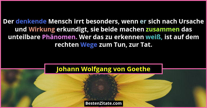 Der denkende Mensch irrt besonders, wenn er sich nach Ursache und Wirkung erkundigt, sie beide machen zusammen das unteil... - Johann Wolfgang von Goethe