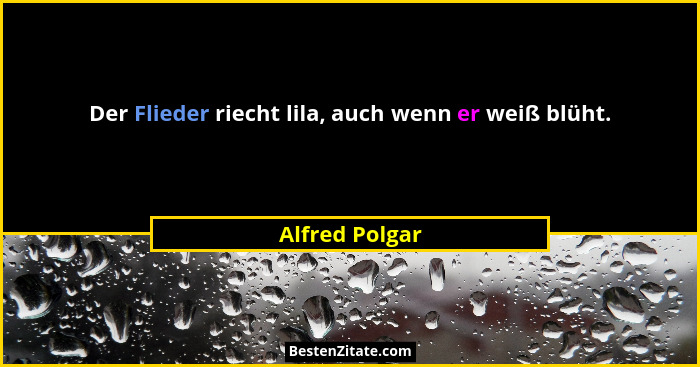 Der Flieder riecht lila, auch wenn er weiß blüht.... - Alfred Polgar