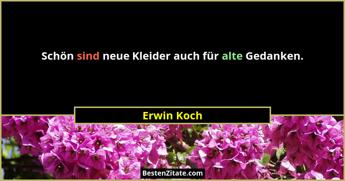 Schön sind neue Kleider auch für alte Gedanken.... - Erwin Koch