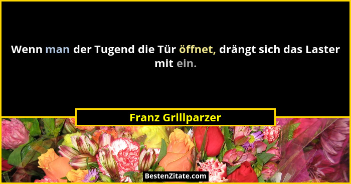 Wenn man der Tugend die Tür öffnet, drängt sich das Laster mit ein.... - Franz Grillparzer