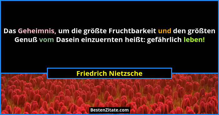 Das Geheimnis, um die größte Fruchtbarkeit und den größten Genuß vom Dasein einzuernten heißt: gefährlich leben!... - Friedrich Nietzsche