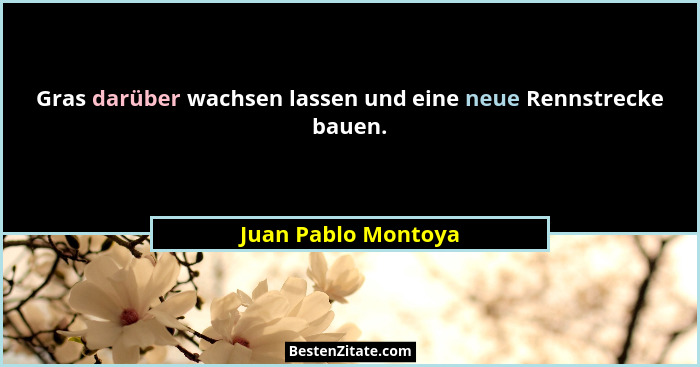Gras darüber wachsen lassen und eine neue Rennstrecke bauen.... - Juan Pablo Montoya
