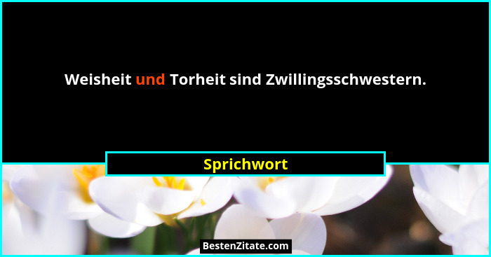 Weisheit und Torheit sind Zwillingsschwestern.... - Sprichwort