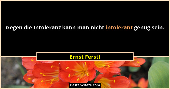 Gegen die Intoleranz kann man nicht intolerant genug sein.... - Ernst Ferstl