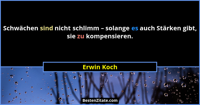 Schwächen sind nicht schlimm – solange es auch Stärken gibt, sie zu kompensieren.... - Erwin Koch