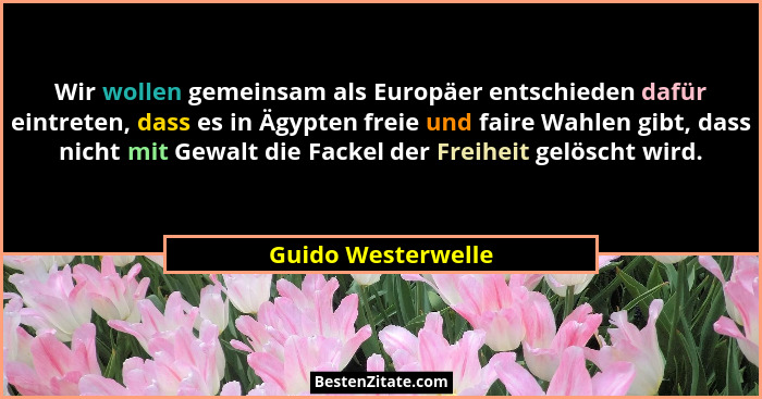 Wir wollen gemeinsam als Europäer entschieden dafür eintreten, dass es in Ägypten freie und faire Wahlen gibt, dass nicht mit Gewa... - Guido Westerwelle