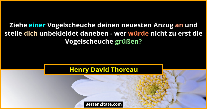 Ziehe einer Vogelscheuche deinen neuesten Anzug an und stelle dich unbekleidet daneben - wer würde nicht zu erst die Vogelscheuc... - Henry David Thoreau