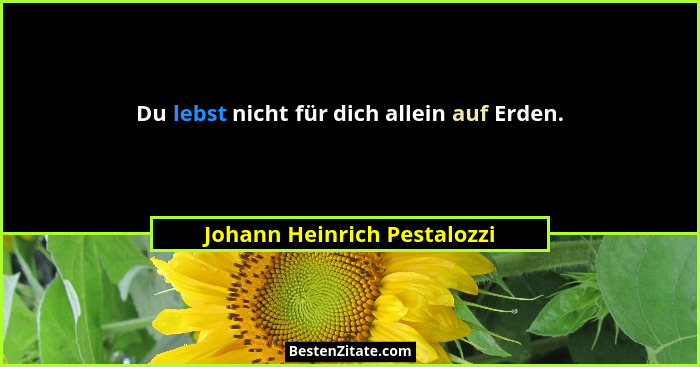 Du lebst nicht für dich allein auf Erden.... - Johann Heinrich Pestalozzi