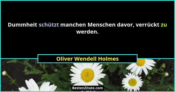 Dummheit schützt manchen Menschen davor, verrückt zu werden.... - Oliver Wendell Holmes