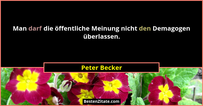 Man darf die öffentliche Meinung nicht den Demagogen überlassen.... - Peter Becker
