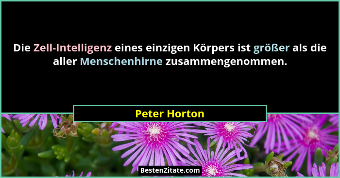 Die Zell-Intelligenz eines einzigen Körpers ist größer als die aller Menschenhirne zusammengenommen.... - Peter Horton