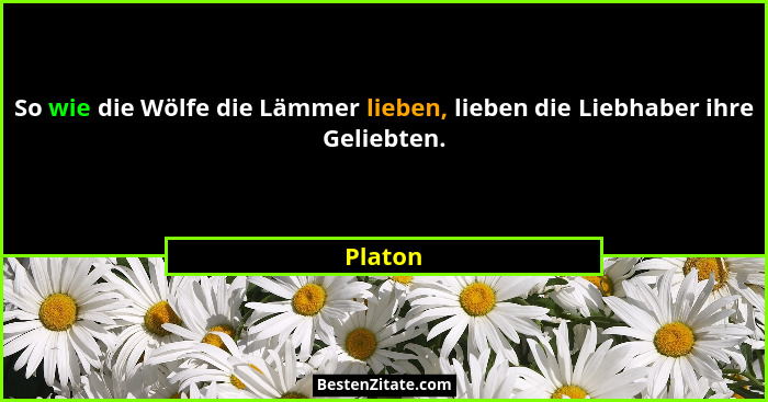 So wie die Wölfe die Lämmer lieben, lieben die Liebhaber ihre Geliebten.... - Platon