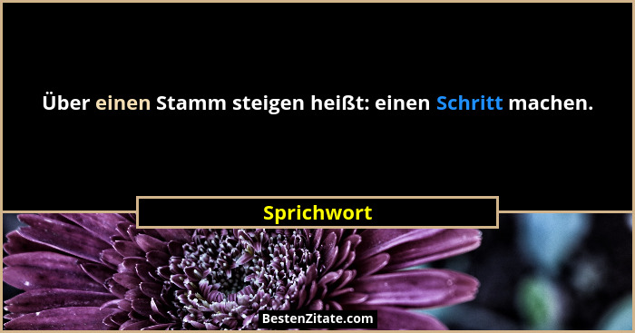 Über einen Stamm steigen heißt: einen Schritt machen.... - Sprichwort