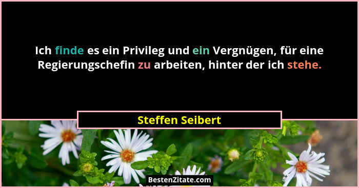 Ich finde es ein Privileg und ein Vergnügen, für eine Regierungschefin zu arbeiten, hinter der ich stehe.... - Steffen Seibert