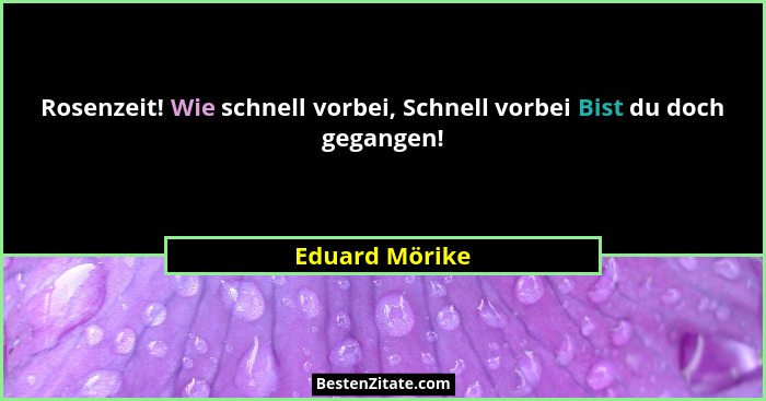 Rosenzeit! Wie schnell vorbei, Schnell vorbei Bist du doch gegangen!... - Eduard Mörike
