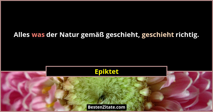Alles was der Natur gemäß geschieht, geschieht richtig.... - Epiktet