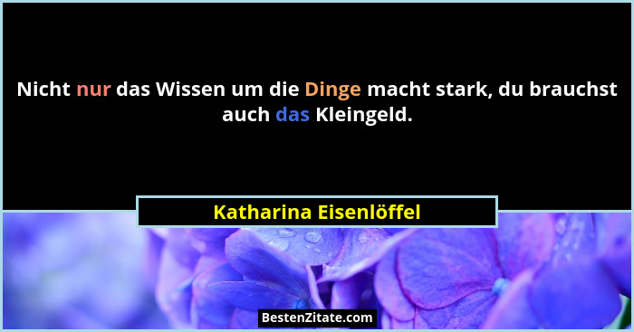Nicht nur das Wissen um die Dinge macht stark, du brauchst auch das Kleingeld.... - Katharina Eisenlöffel