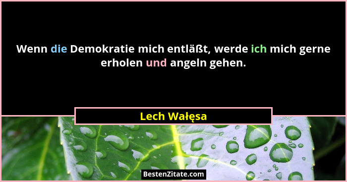 Wenn die Demokratie mich entläßt, werde ich mich gerne erholen und angeln gehen.... - Lech Wałęsa
