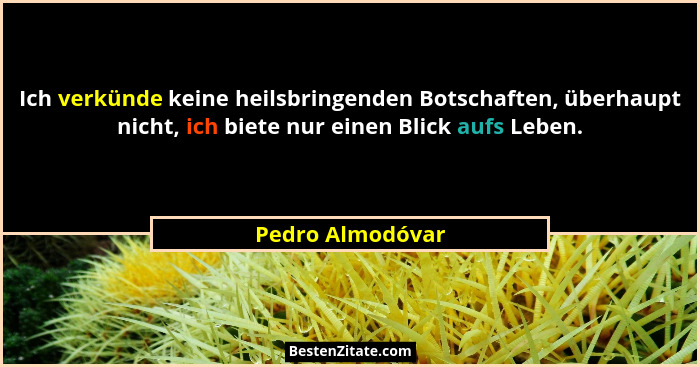 Ich verkünde keine heilsbringenden Botschaften, überhaupt nicht, ich biete nur einen Blick aufs Leben.... - Pedro Almodóvar