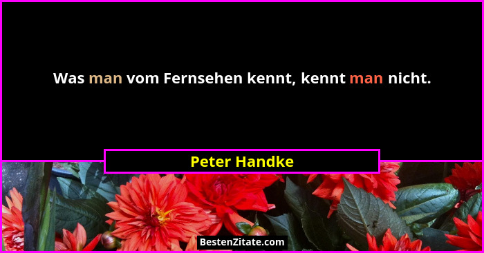 Was man vom Fernsehen kennt, kennt man nicht.... - Peter Handke