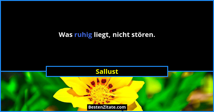 Was ruhig liegt, nicht stören.... - Sallust