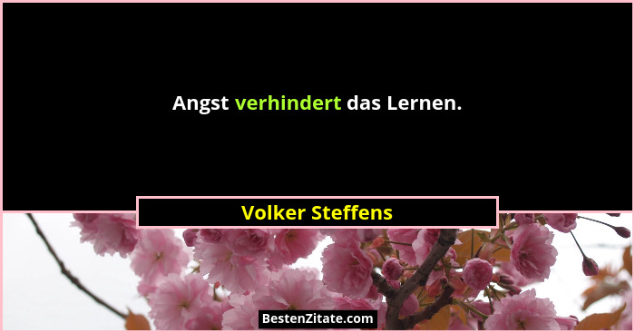 Angst verhindert das Lernen.... - Volker Steffens