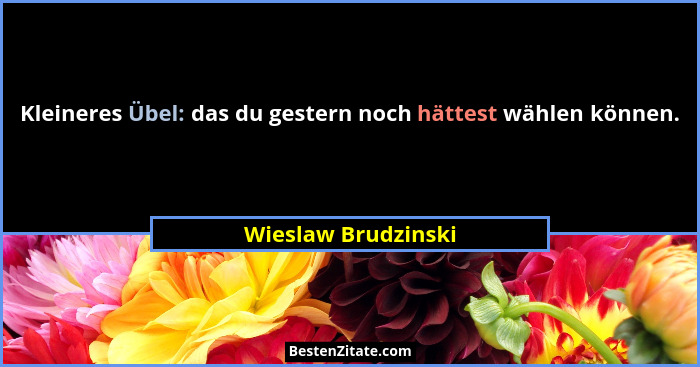 Kleineres Übel: das du gestern noch hättest wählen können.... - Wieslaw Brudzinski