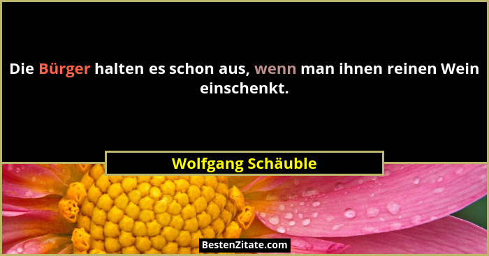 Die Bürger halten es schon aus, wenn man ihnen reinen Wein einschenkt.... - Wolfgang Schäuble