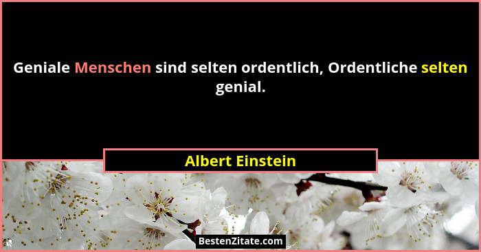 Geniale Menschen sind selten ordentlich, Ordentliche selten genial.... - Albert Einstein