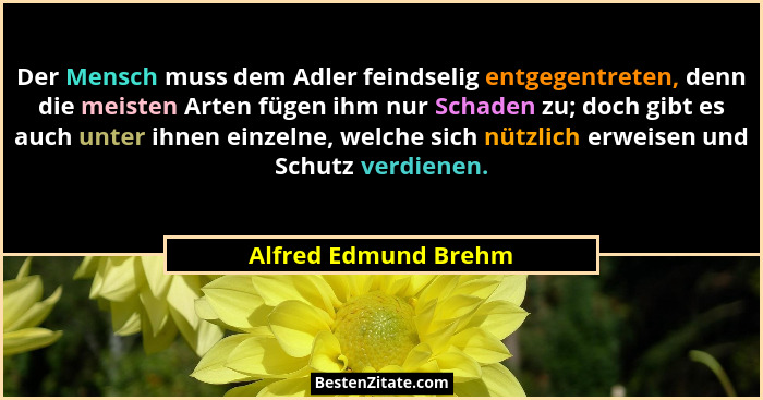 Der Mensch muss dem Adler feindselig entgegentreten, denn die meisten Arten fügen ihm nur Schaden zu; doch gibt es auch unter ih... - Alfred Edmund Brehm