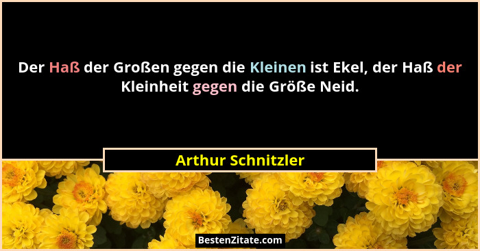Der Haß der Großen gegen die Kleinen ist Ekel, der Haß der Kleinheit gegen die Größe Neid.... - Arthur Schnitzler