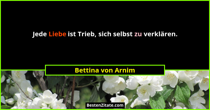 Jede Liebe ist Trieb, sich selbst zu verklären.... - Bettina von Arnim