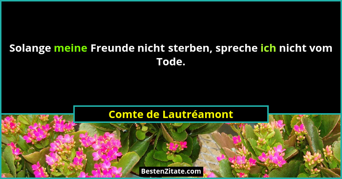 Solange meine Freunde nicht sterben, spreche ich nicht vom Tode.... - Comte de Lautréamont