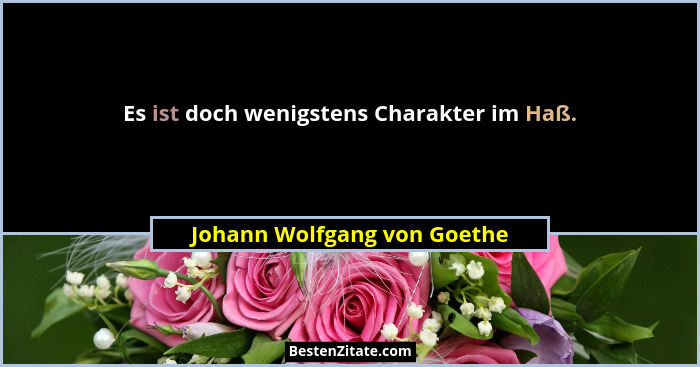 Es ist doch wenigstens Charakter im Haß.... - Johann Wolfgang von Goethe
