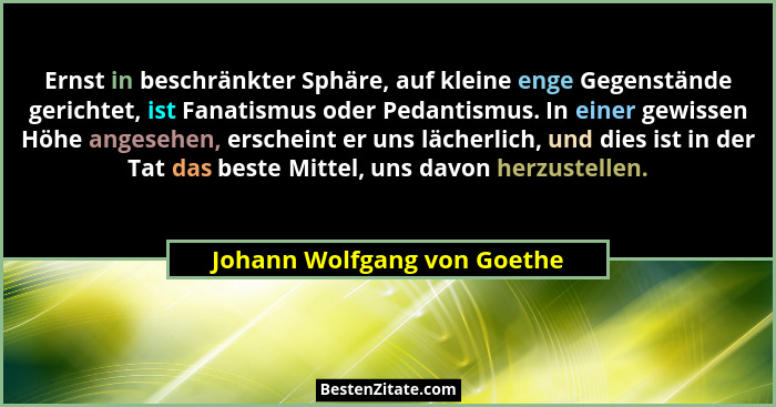 Ernst in beschränkter Sphäre, auf kleine enge Gegenstände gerichtet, ist Fanatismus oder Pedantismus. In einer gewissen H... - Johann Wolfgang von Goethe